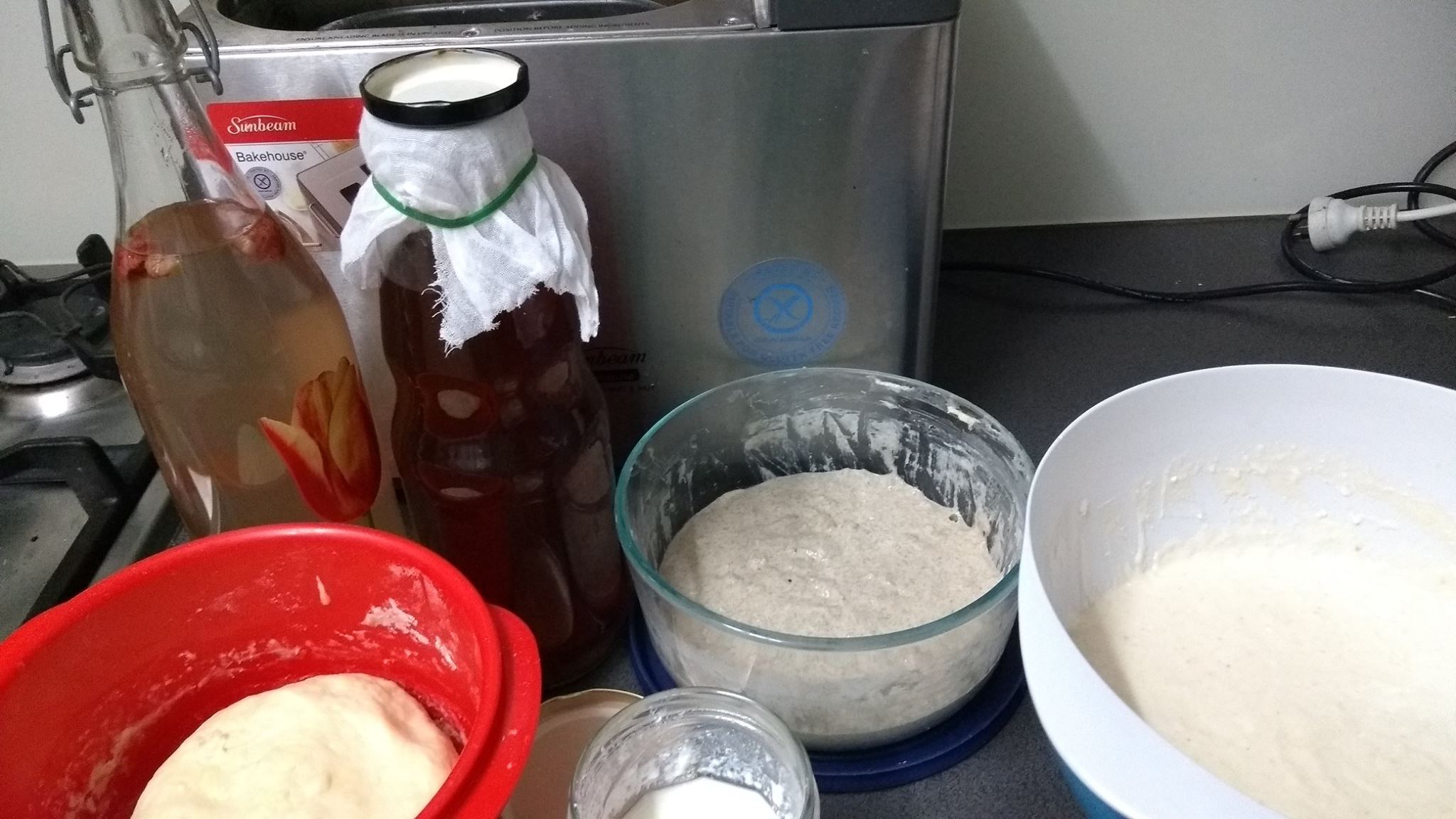 eh-fermenting.jpg