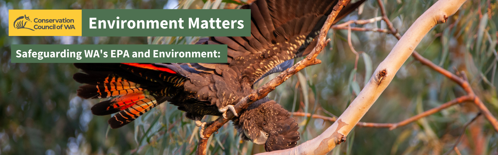 environment_matters_1_2024_1.png