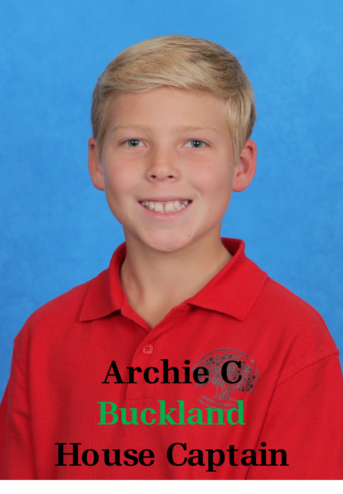 archie-c.png