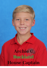 archie-c.png