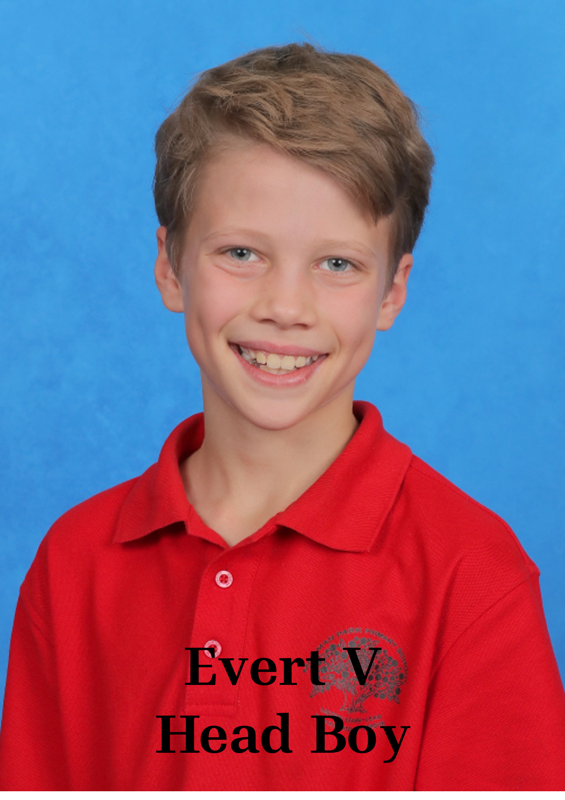 evert-v.png