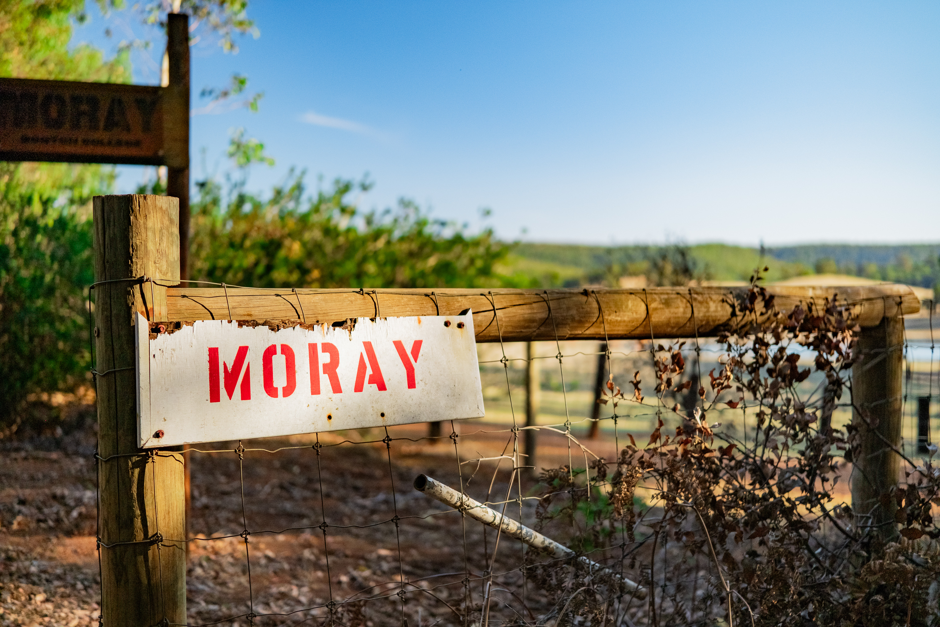 Moray