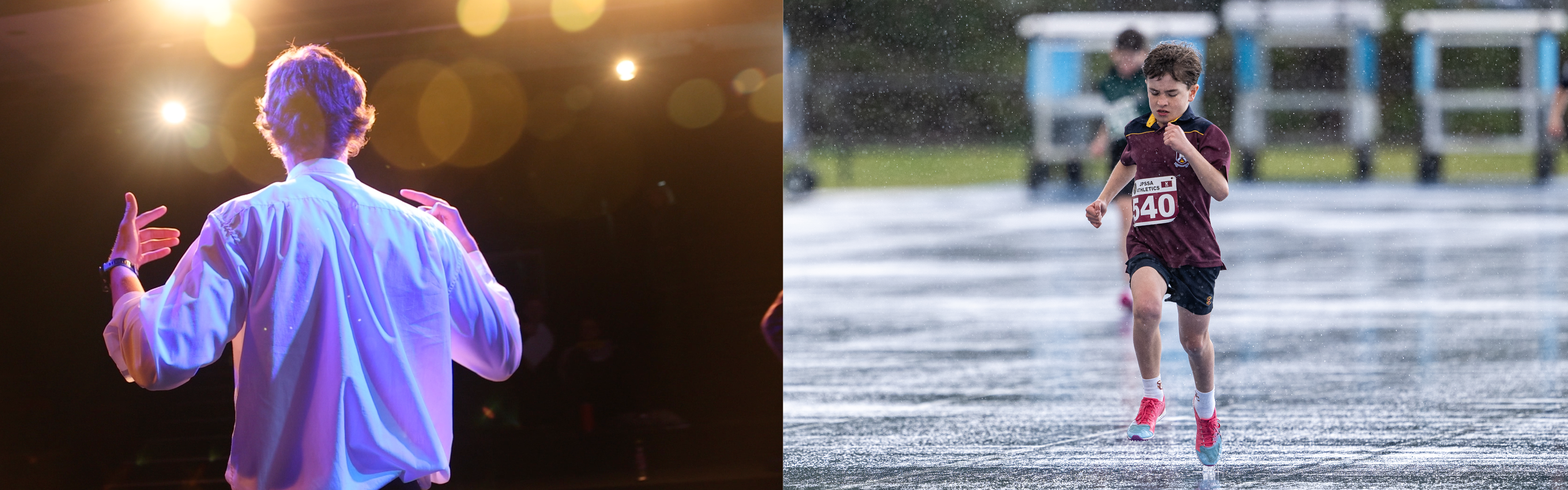 800x250-banner-image.png