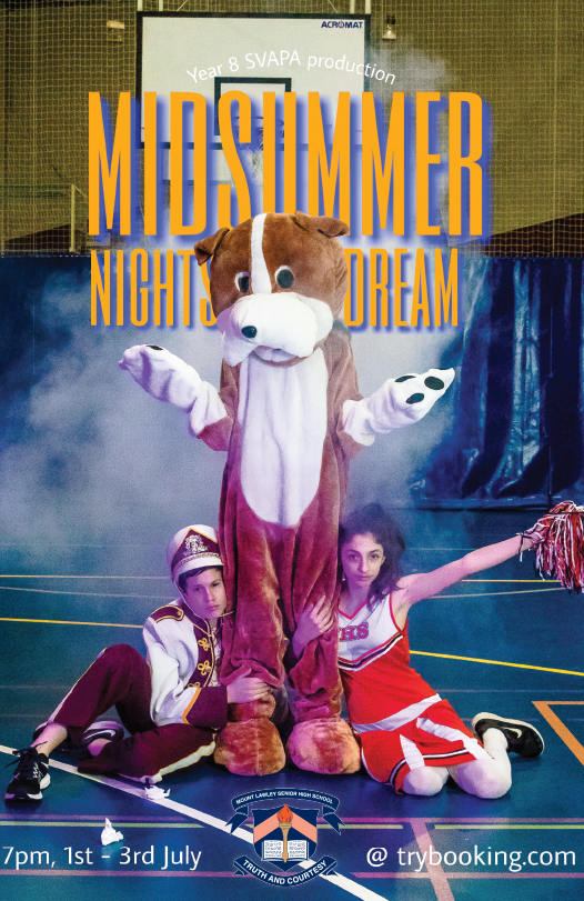msnd-2019.png