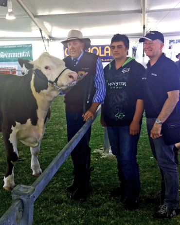 Harold the HEreford with Peter Milton, Michael Borrello and Steve Andrews