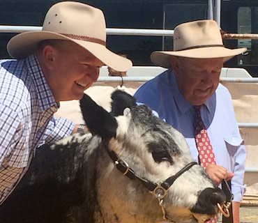 Successful bidder Kim McDougall of Harvey Beef with Peter Milton and Winston