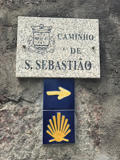 camino.png