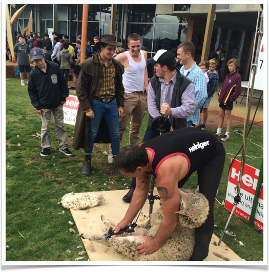 agriculture day