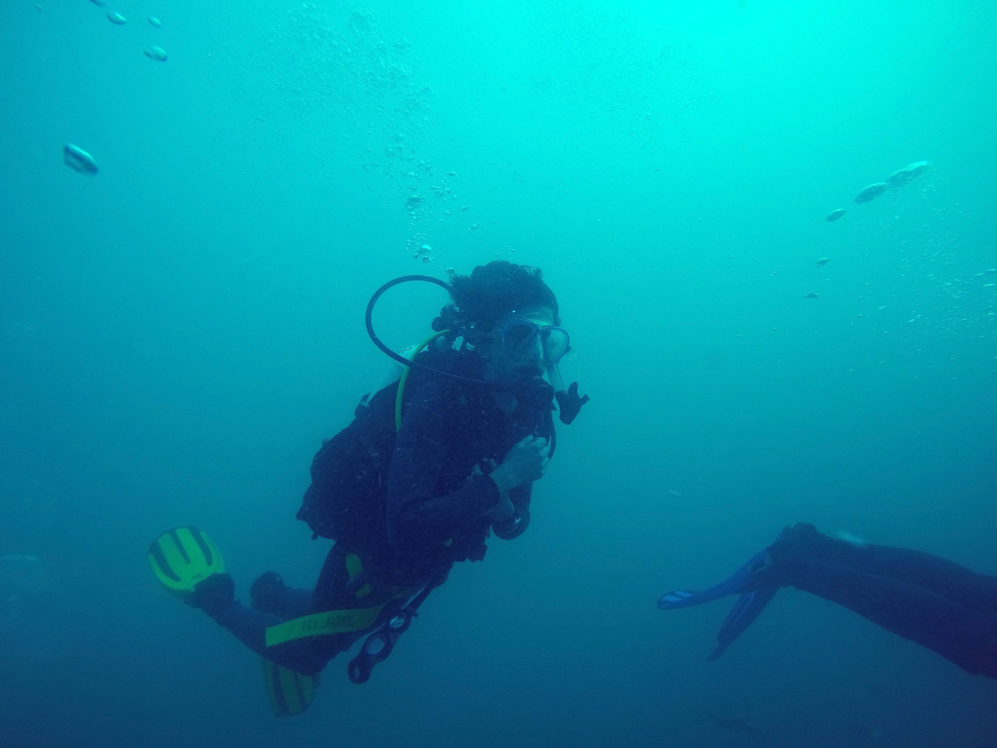SCUBA 1
