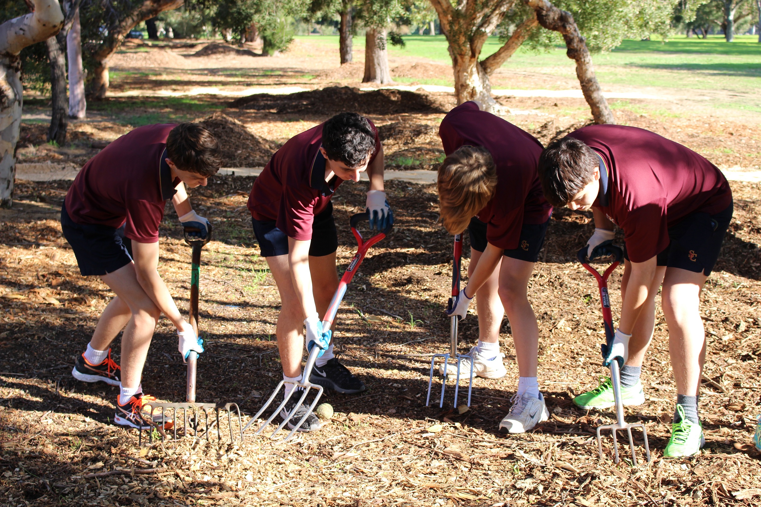 FOLC planting