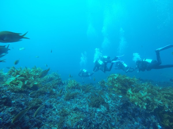scuba 5-1