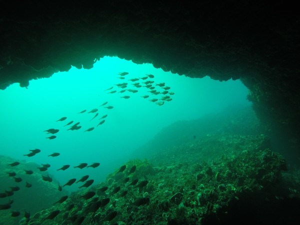scuba 5-2