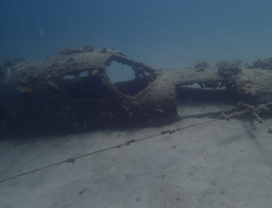 SCUBA dive