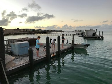 img_4012.jpg