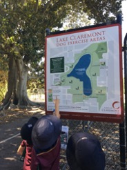 picture2.jpg