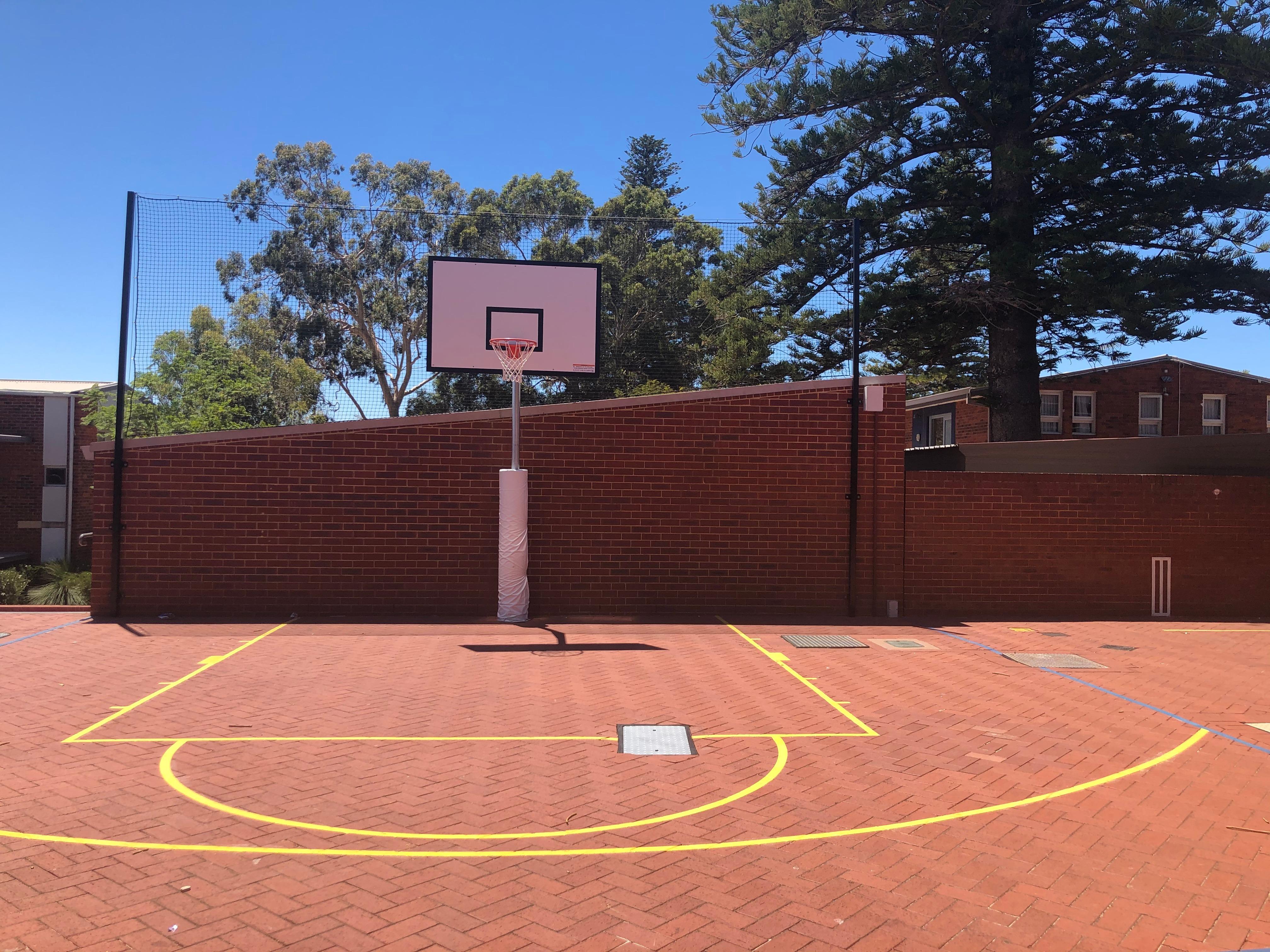 bball1.jpg