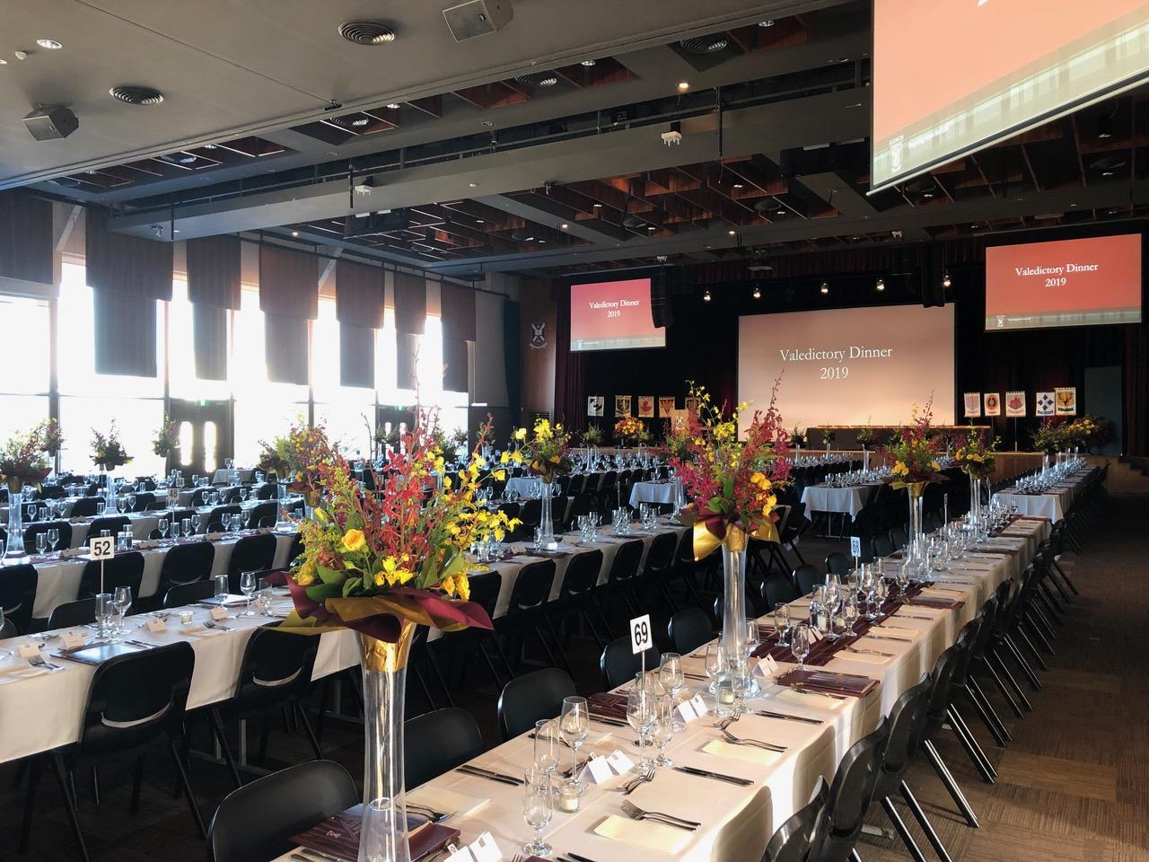 vd-2019-room.jpeg
