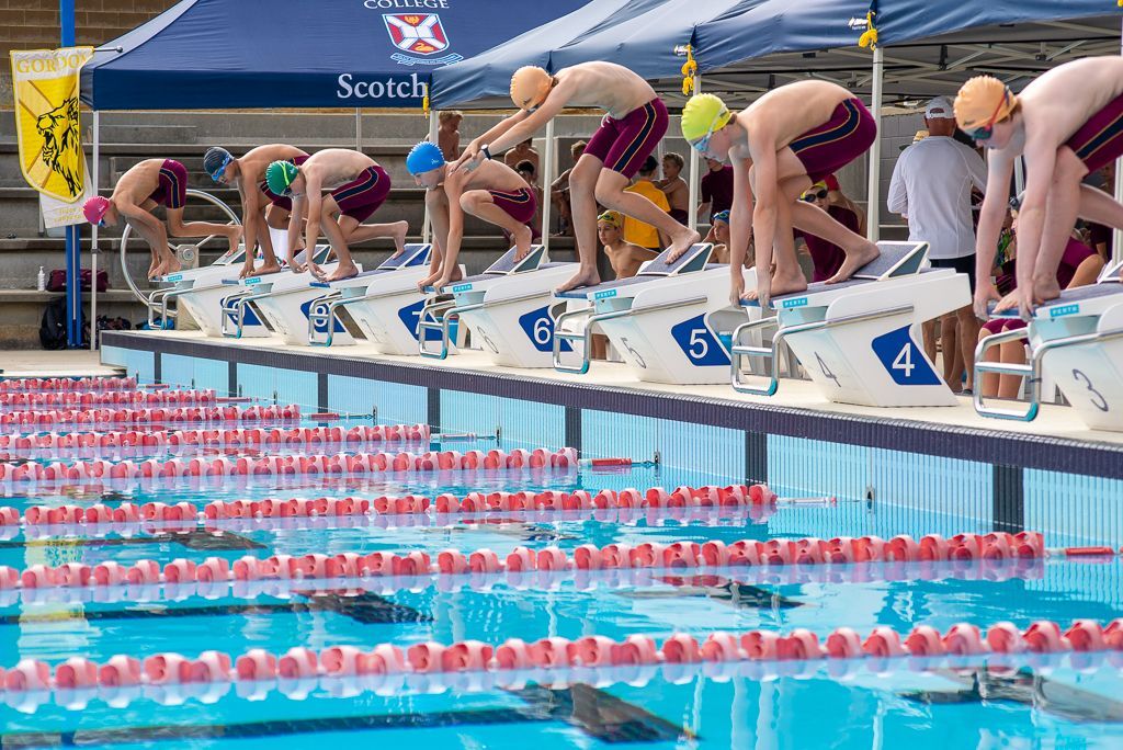 swim1.jpg