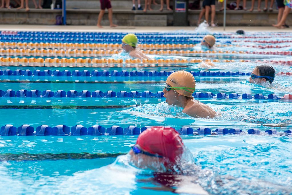 swim2.jpg