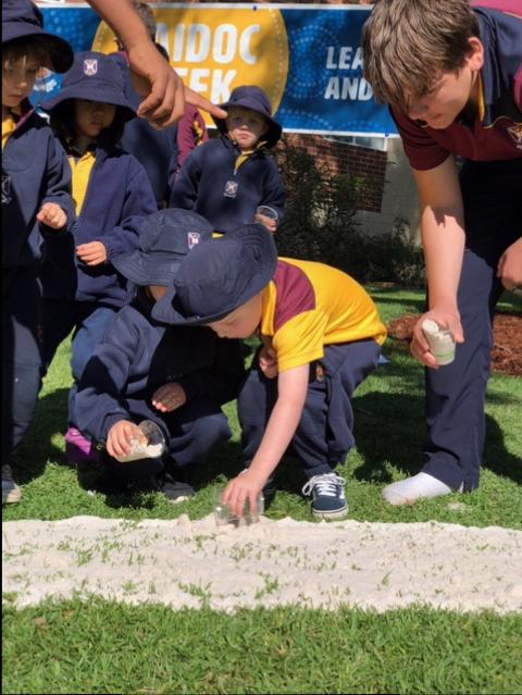 naidoc1.jpeg