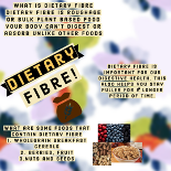 food1.png