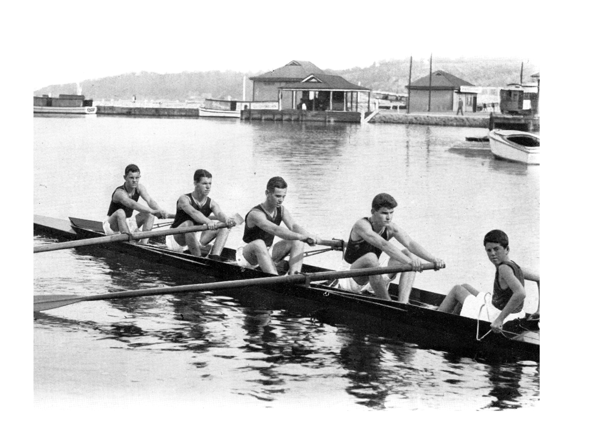 Scotch College rowers