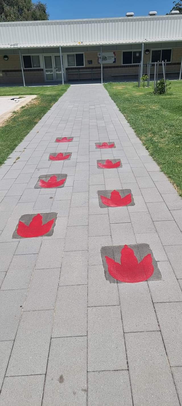Ground Markings 2