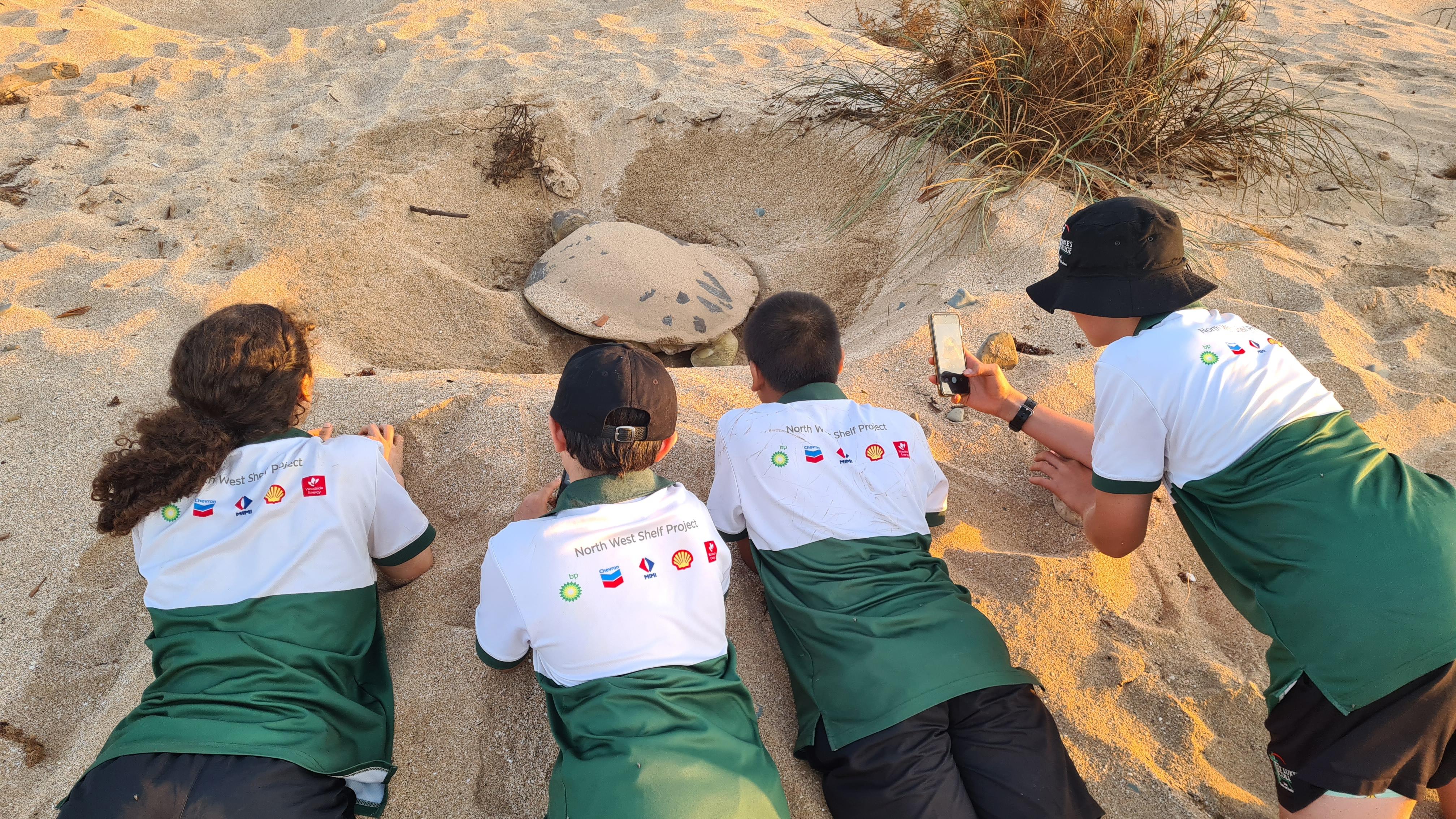 Sunset Turtle Nesting Tour